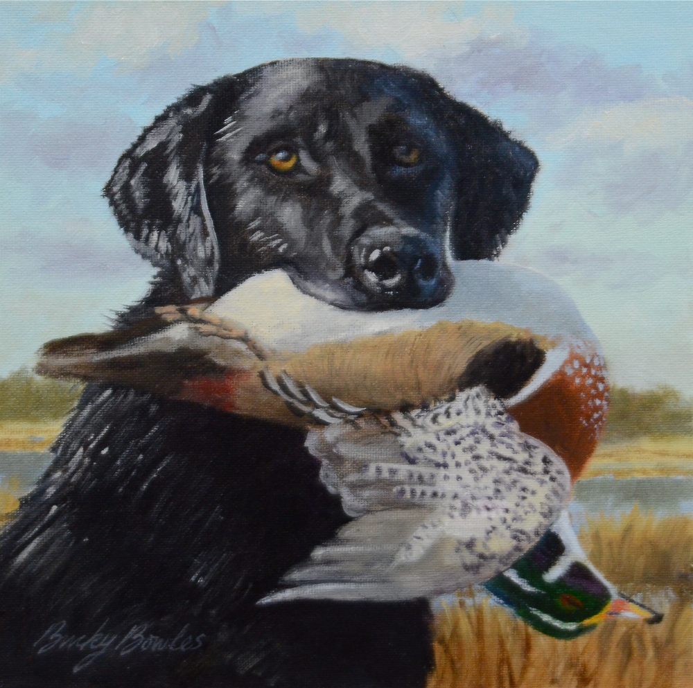 Black Lab with Wood duck