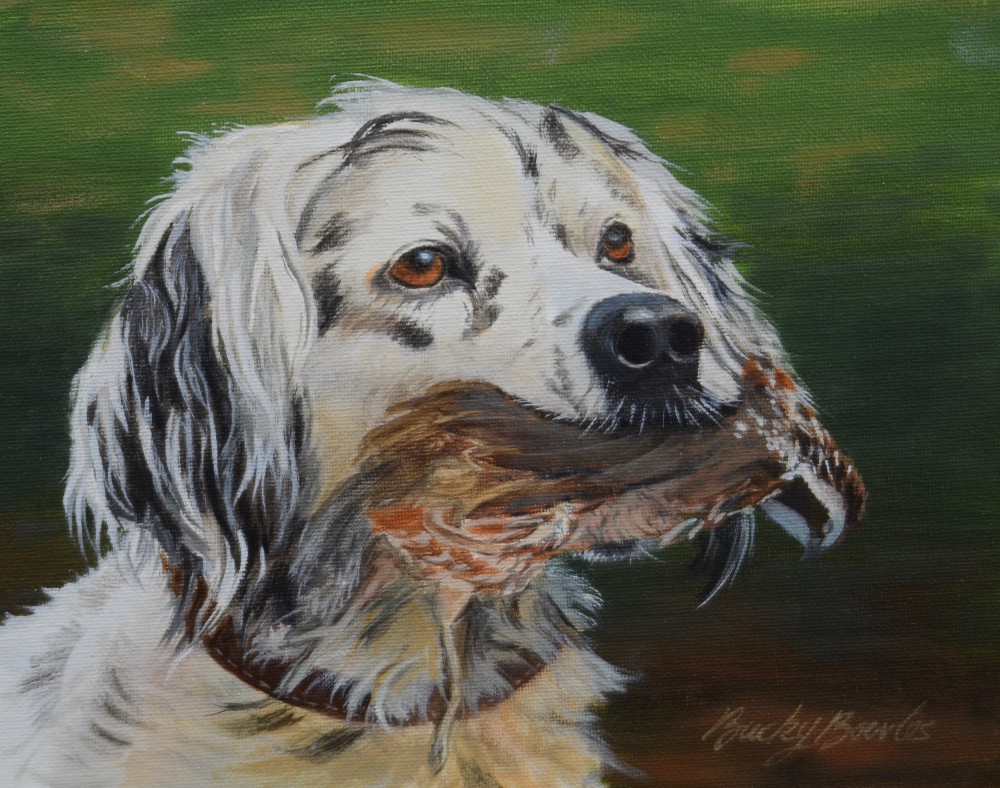 English Setter with Quail