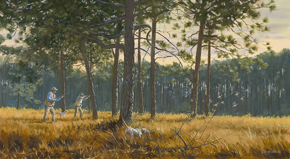 Pine Woods Covey