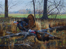 Gobblers on the Edge